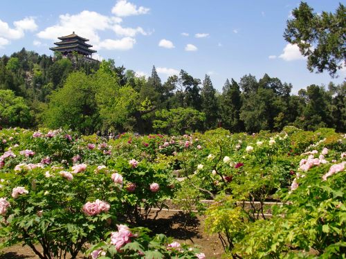 景山公園